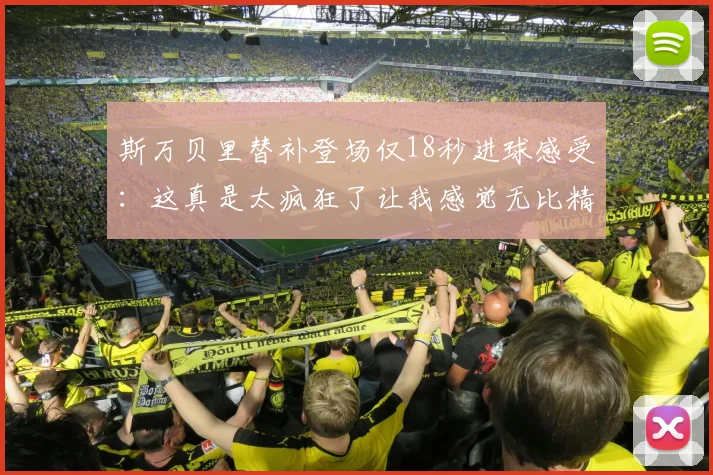 斯万贝里替补登场仅18秒进球感受：这真是太疯狂了让我感觉无比精彩