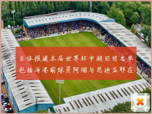 东体报道本届世界杯中超旧将名单包括海港前球员阿瑙与恩迪亚耶在内的10位球员