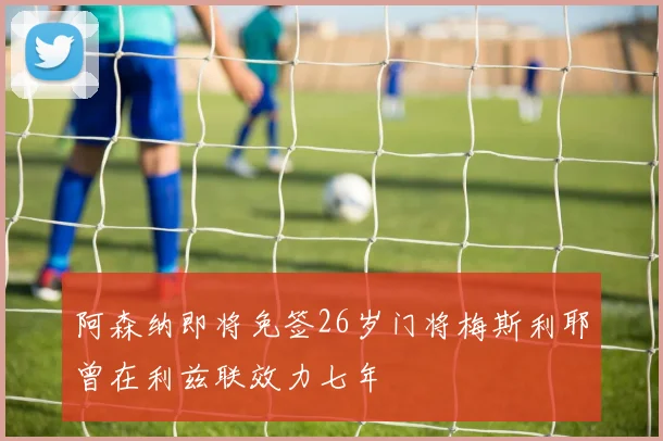 阿森纳即将免签26岁门将梅斯利耶曾在利兹联效力七年